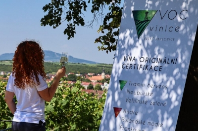 Gallery Putování vinicemi za víny VOC 2021 #7