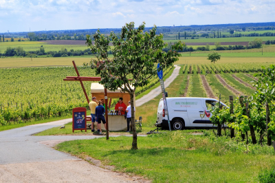 Gallery Putování vinicemi za víny VOC 2024 #36