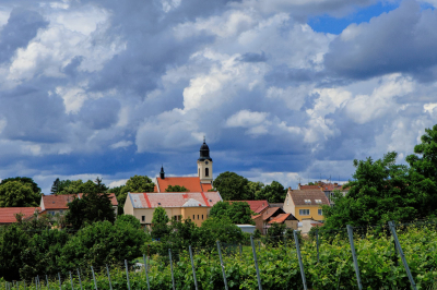 Gallery Putování vinicemi za víny VOC 2024 #56