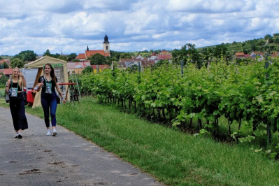 Gallery Putování vinicemi za víny VOC 2024 #51